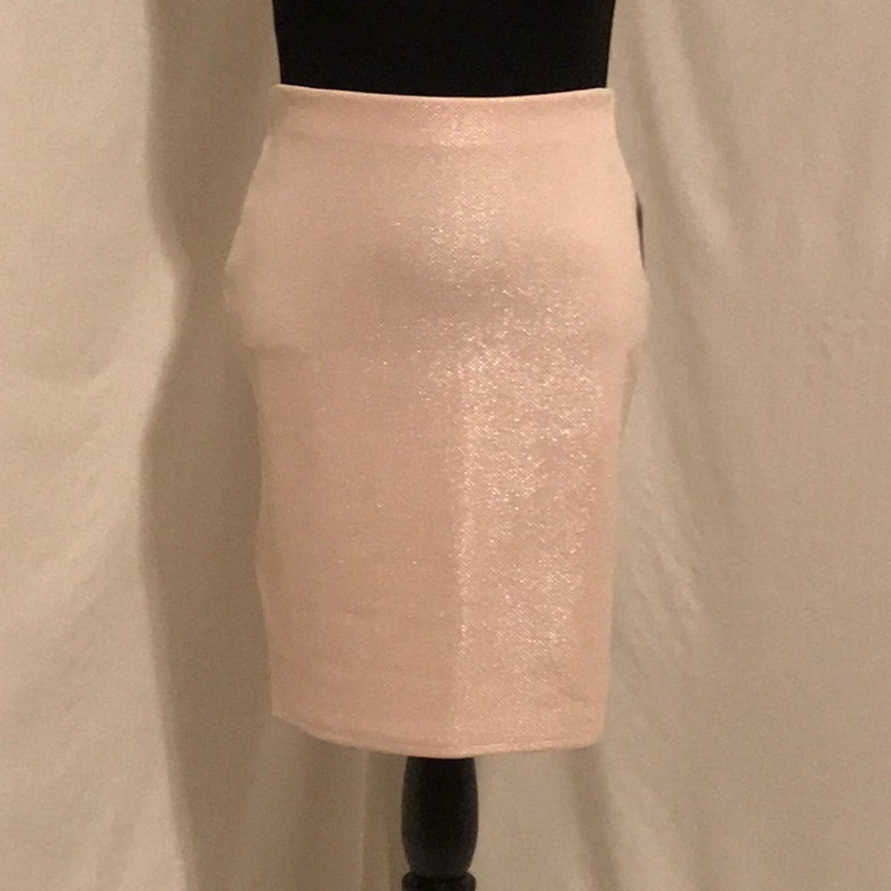 Fitted/Stretch Skirt